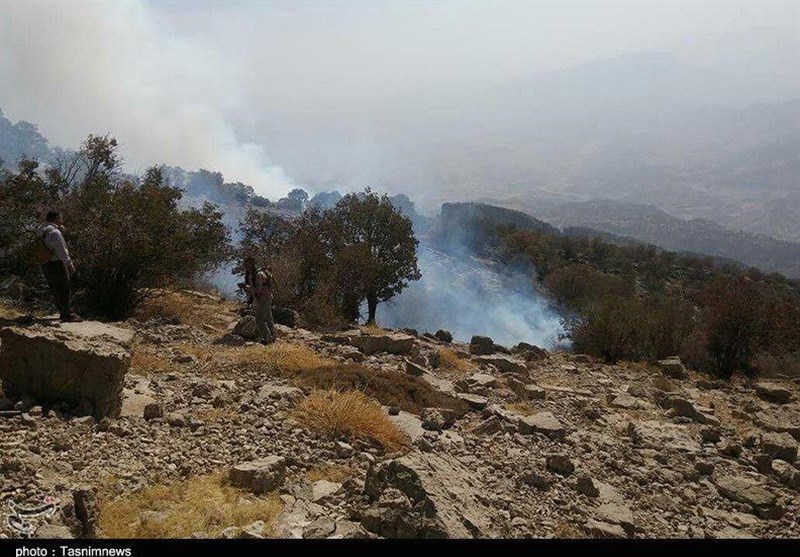 آتش سوزی جنگل‌های کوه سفید لنده پس از۴ شبانه روز مهار شد