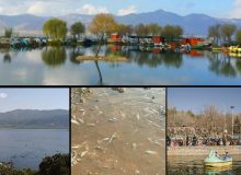 فاضلاب بلای جان زیباترین تالاب ایران شد/ خطر برهوت شدن یک دریاچه!