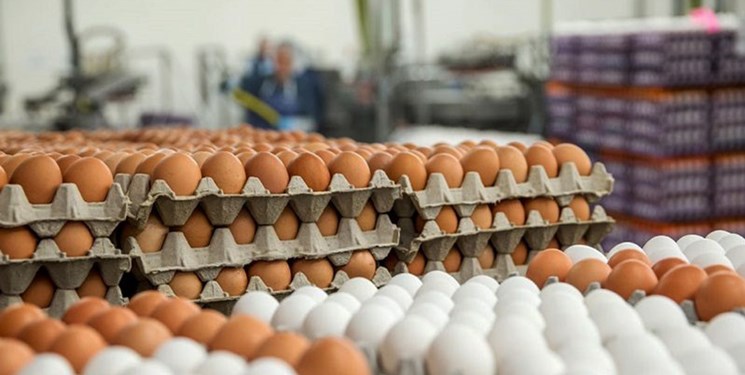 فروش شانه‌ای تخم مرغ ممنوع می‌شود