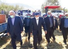 استاندار کرمانشاه: توسعه کشاورزی با افزایش درآمد زارعان محقق می‌شود