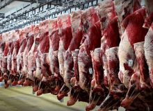 بالا بودن قیمت گوشت قرمز ناپایدار و موقتی است