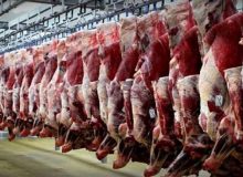 قاچاق دام عامل اصلی افزایش قیمت گوشت قرمز در کردستان است