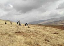 عملیات بیولوژیک آبخیزداری در مراتع کردستان آغاز شد