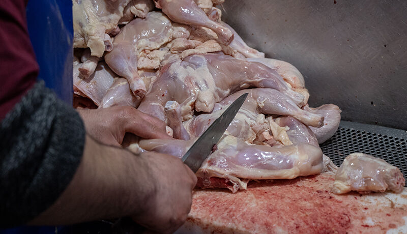عرضه هر کیلو گوشت مرغ بیش از ۲۴ هزار تومان گرانفروشی است