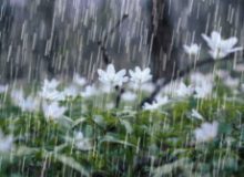 آغاز بارش باران در مناطق مختلف ایلام