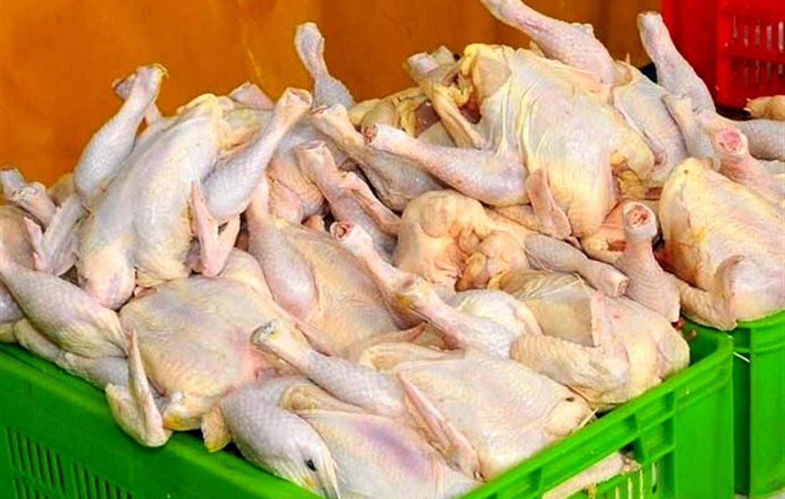 تفاوت قیمت با استان‌های همجوار مشکل اصلی بازار مرغ در ایلام است