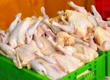تفاوت قیمت با استان‌های همجوار مشکل اصلی بازار مرغ در ایلام است