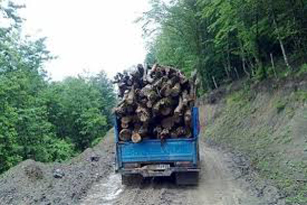 جریمه قاچاق چوب در کهگیلویه و بویراحمد ۱۰ برابر شد