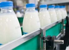 روزانه ۵۰ تن شیر خام در چهارمحال و بختیاری خرید حمایتی می‌شود