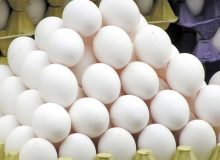 گرانفروشان تخم‌مرغ در استان همدان مجازات می‌شوند