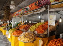 تعیین قیمت میوه در دست دلال ها است و از دست باغداران خارج شده است.