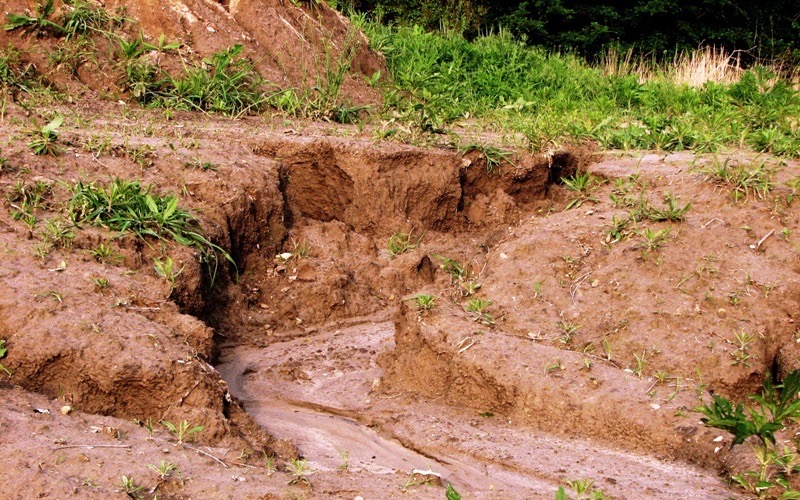 زنگ خطر فرسایش خاک در همدان به صدا درآمد
