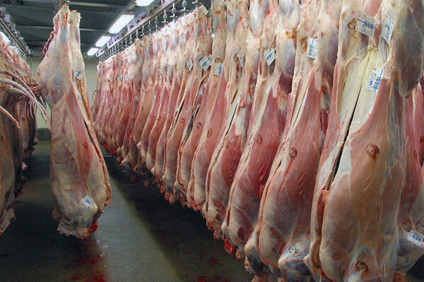 کاهش تقاضای خرید گوشت قرمز در بازار همدان