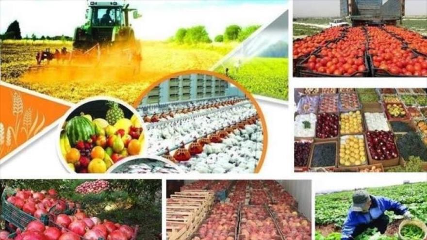 افتتاح ۳ طرح کشاورزی در حوزه صنایع تبدیلی و تکمیلی استان ایلام انجام شد