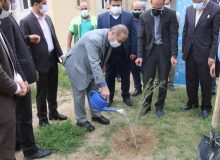 موفقیت خوزستان در زمینه توسعه فضای سبز و بیابان زدایی است