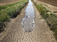 خسارت  ۲۱ هزار میلیارد ریالی خشکسالی به کشاورزی کردستان