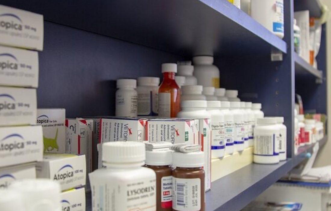 ۲۷۵قلم داروی غیر مجاز از داروخانه های دامپزشکی شهرستان ایلام ضبط شد