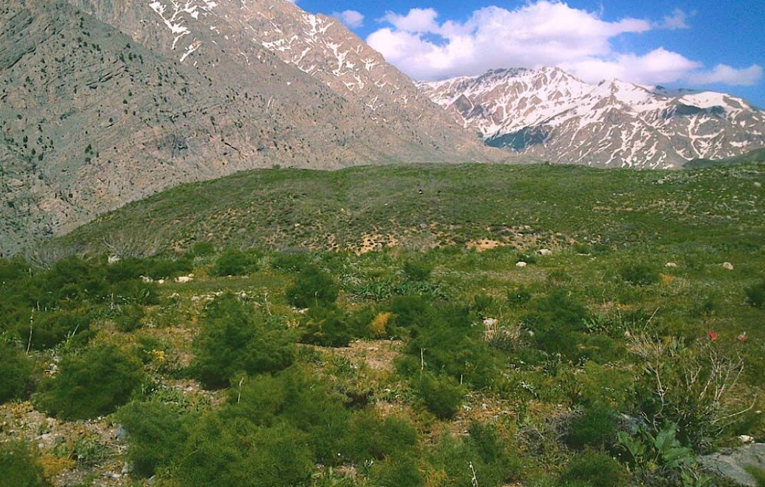 سازمان محیط زیست نسبت به حفظ پارک ملی دنا تعهد بین‌المللی دارد