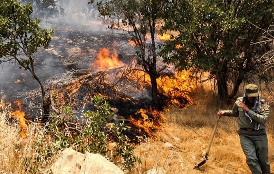 آتش‌سوزی در جنگل‌ها و مراتع ۶۰ درصد کاهش یافت