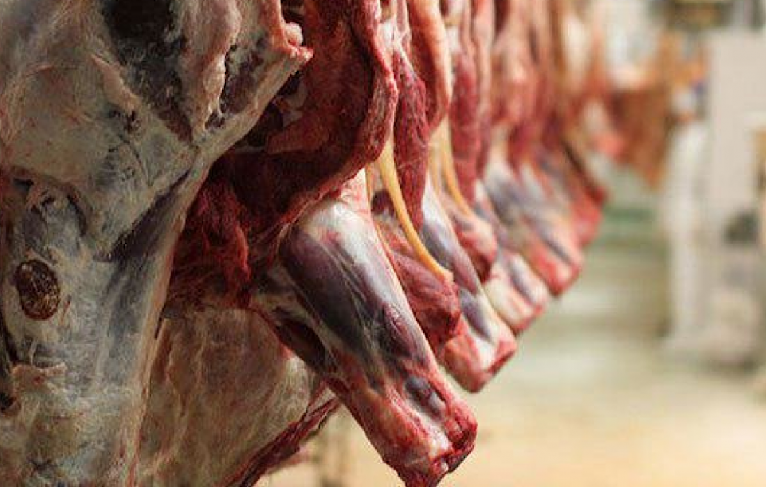 رئیس اتحادیه گوشت: بازار به شدت دچار رکود شده، قیمت‌ها بالاست؛ مردم توان خرید ندارند