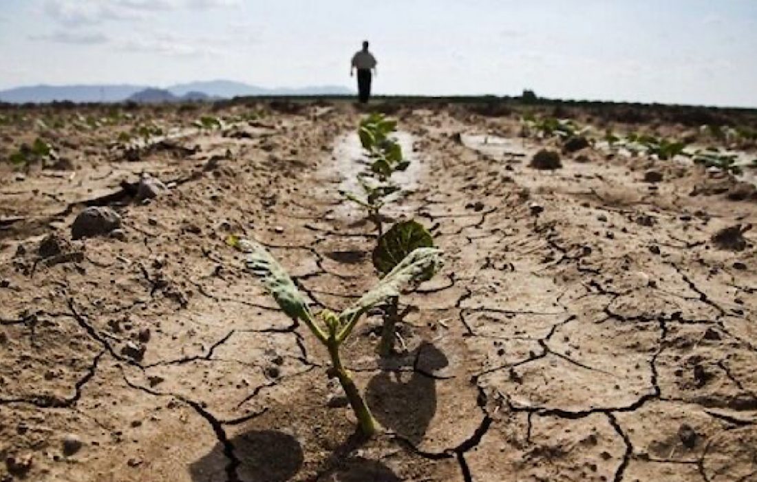 ایلام مقام اول خشکسالی در کشور/ مزارع دیم استان به صورت ۱۰۰ درصد دچار خشکسالی شدند