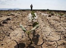 ایلام مقام اول خشکسالی در کشور/ مزارع دیم استان به صورت ۱۰۰ درصد دچار خشکسالی شدند