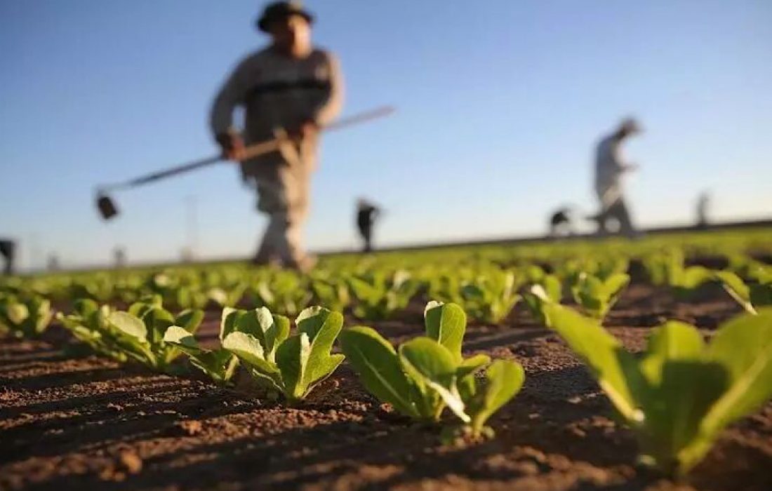 اصلاح الگوی کشت، ” آب پاکی روی دست زمین”