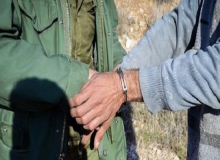 ۳۵۱ متخلف شکار و صید در کردستان دستگیر شدند
