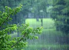 ثبت ۱۹۱ میلیمتر بارش در ایستگاه باران سنجی زیفل بدره