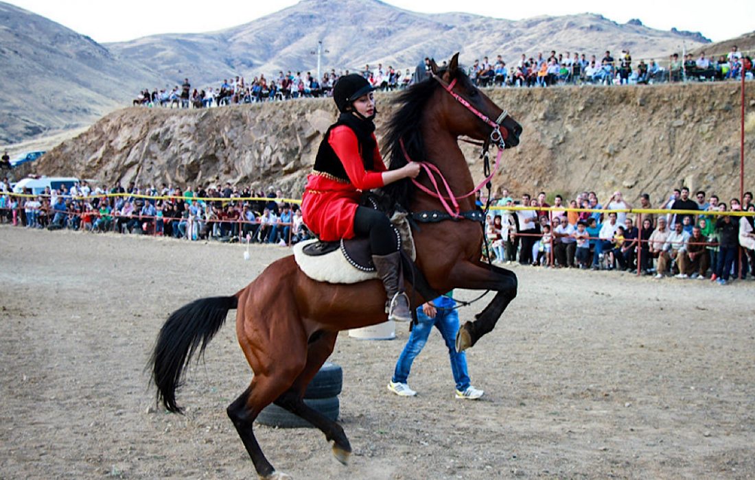 شمارش معکوس برای ثبت جهانی اسب کُرد