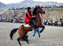 شمارش معکوس برای ثبت جهانی اسب کُرد