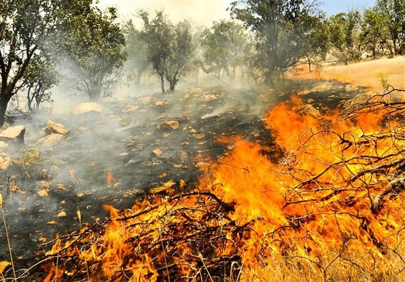 آتش زدن پس‌چرای مزارع از مهمترین چالش‌های منابع طبیعی ایلام است