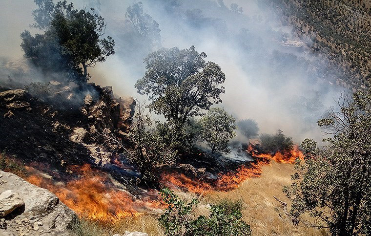 ۶۰۰هکتار جنگل و مرتع لرستان در آتش سوخت