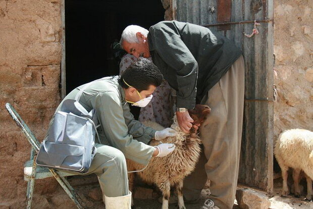 آغاز واکسیناسیون آبله و شاربن در ۶۰۰ روستای کردستان