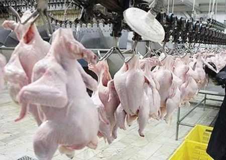 نخستین محموله صادراتی مرغ همدان به عراق رفت