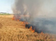 مهار آتش سوزی مزارع در ملکشاهی
