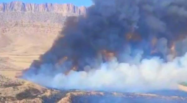 آتش بیش از ۵۶ هکتار مزارع گیلانغرب را سوزاند