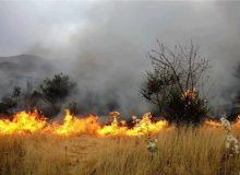 سه منطقه از اراضی طبیعی شهرستان ایوان دچار آتش سوزی شده است