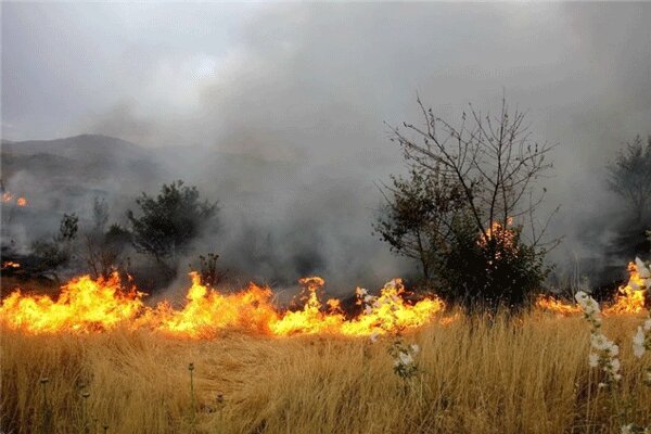 سه منطقه از اراضی طبیعی شهرستان ایوان دچار آتش سوزی شده است