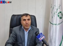 سایت “مانشت و قلارنگ” ایلام از موفق‌ترین سایت‌های تکثیر و احیای گوزن زرد ایرانی در سطح کشور است