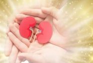 اعضای بدن بیمار مرگ مغزی در چهارمحال و بختیاری اهدا شد