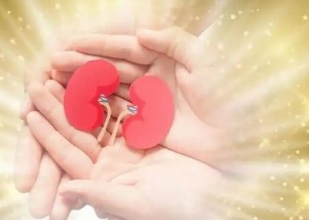 اعضای بدن بیمار مرگ مغزی در چهارمحال و بختیاری اهدا شد