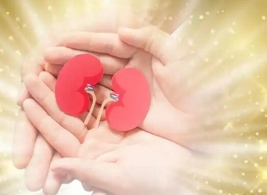 اعضای بدن بیمار مرگ مغزی در چهارمحال و بختیاری اهدا شد
