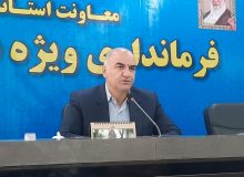 فرماندار: مدیریت صحیح و کارآمد در شورا و شهرداری بروجرد وجود دارد