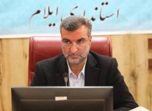 معاون استاندار از طرح تازه تحول اقتصادی ایلام رونمایی کرد