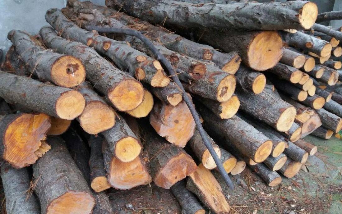 محکومیت قاچاقچی سوخت و چوب در همدان