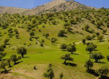 ۹۰ درصد اقدامات منابع طبیعی نیازمند مشارکت مردم است