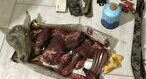 شکارچی بز وحشی در کولگ مهران زمین گیر شد