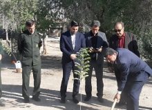 کاشت نهال سلامت در بیمارستان شهدا دهلران به مناسبت روز پرستار