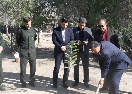 کاشت نهال سلامت در بیمارستان شهدا دهلران به مناسبت روز پرستار